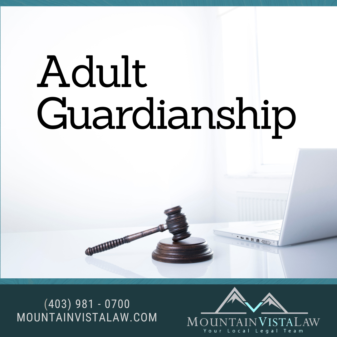 mvl adult guardianship 2022